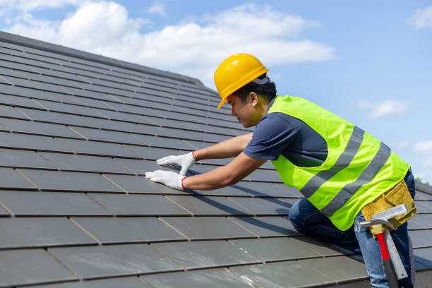 Best Roof Gutter Cleaning  in Hollywood Park, TX