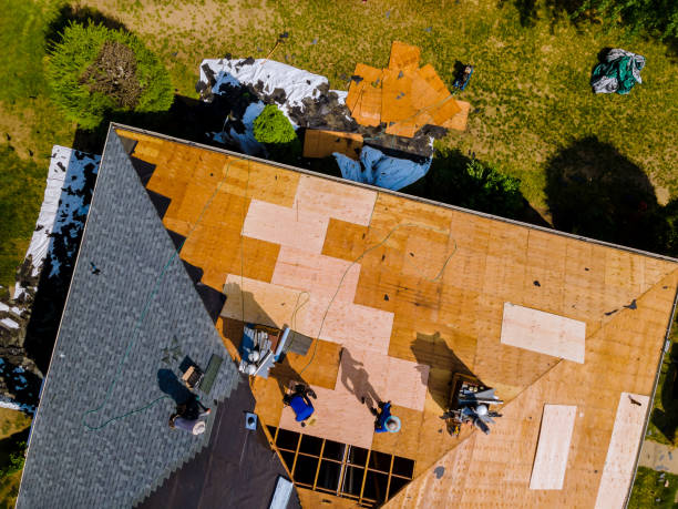 Trusted Hollywood Park, TX Roofing Contractor Experts