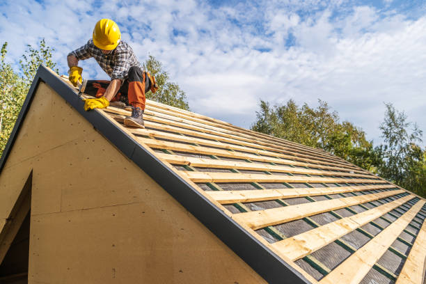 Best Flat Roof Repair Services  in Hollywood Park, TX