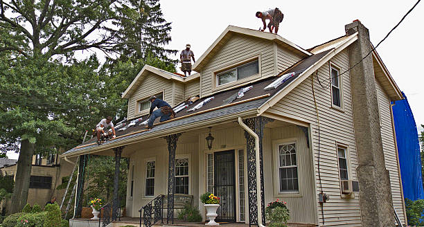 Quick and Trustworthy Emergency Roof Repair Services in Hollywood Park, TX