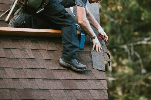 Best Storm Damage Roof Repair  in Hollywood Park, TX